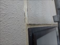 20160302_230_P3022104_s_s