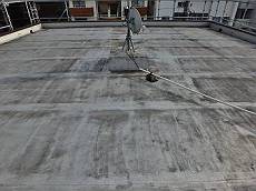 20160302_350_20160302_350_P3021868_s_s