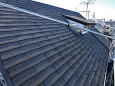 20160303_230_P3030124_s_s