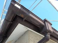 20160303_230_P3030161_s_s