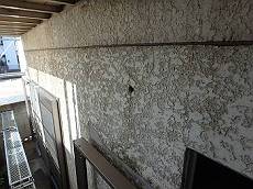 20160303_230_P3030245_s_s