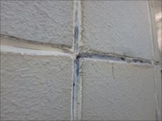 20160304_230_P3040035_s_s