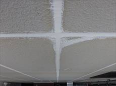 20160305P3050361_s_s