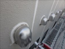 20160305_230_P3050347_s_s