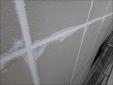 20160305_230_P3050360_s_s