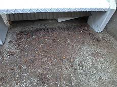 20160305_350_P3030317_s