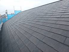 20160311_230_P3110686_s_s