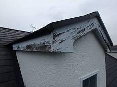 20160311_230_P3110708_s_s