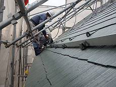 20160316_230_P3161058_s_s