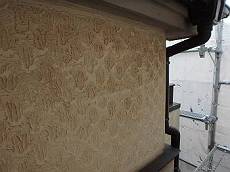 20160319_230_P3181521_s_s