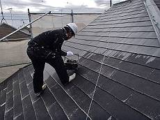 20160321_230_P3210004_s_s