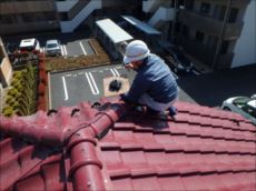 20160322_230_P3221635_s_s