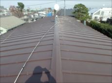 20160323_230_P3231731_s