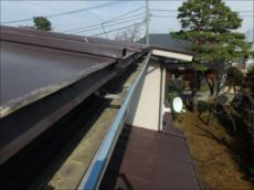 20160323_230_P3231755_s