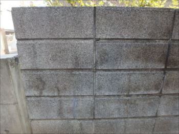 20160323_350_P3231770_s