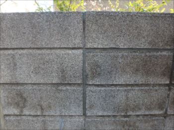 20160323_350_P3231772_s