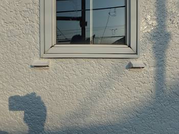 20160323_350_P3231774_s