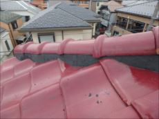 20160324_230_P3241788_s_s