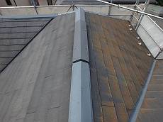 20160406_350_P4062411_s_s