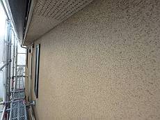 20160406_350_P4062479_s_s