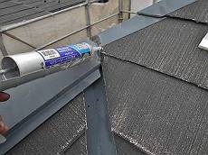 20160408_350_DSCN0443_s_s