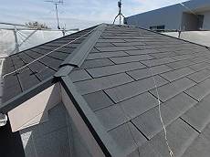 20160411_230_P4112670_s_s