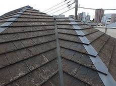 20160416_230_P4160719_s_s