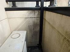 20160416_230_P4160753_s_s