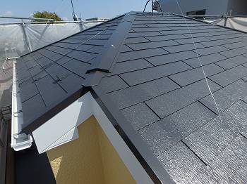 20160419_350_DS4190923_s