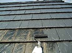 20160420_230_CIMG4430_s_s