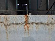 20160422_230_P4221352_s_s