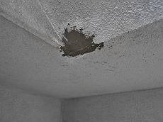 20160425_230_DSCN0592_s_s