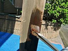 20160426_230_PG4477_s_s