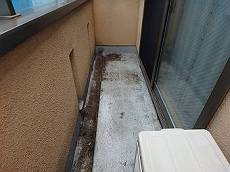 20160506_350_P5060152_s_s