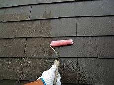 20160509_350_CIMG4524_s_s