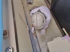 20160516_350_P5160058_s_s