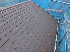 20160517_350_P5170787_s_s