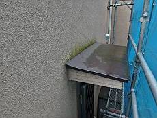 20160517_350_P5170904_s_s