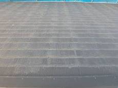 20160526_350_P5260152_s_s