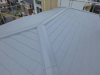 20160526_350_P5262083_s_s