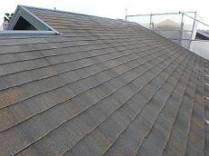 20160604_350_P6060290_s_s