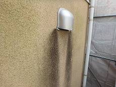 20160604_350_P6060471_s_s