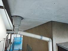 20160607_350_P6070847_s_s