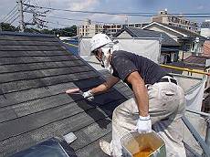 20160610_350_P6100006_s_s