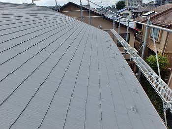 20160617_350_P6171531_s