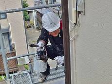 20160617_350_P6171582_s_s