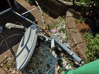 20160618_350_P6182269_s