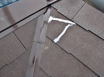 20160630_350_P6300011_s