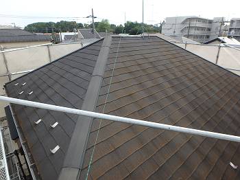 20160701_350_P7190608_t