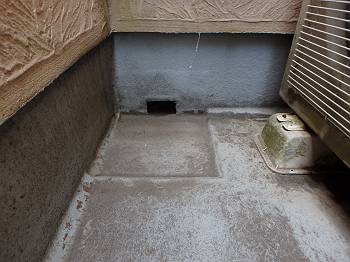 20160701_350_P7190629_t